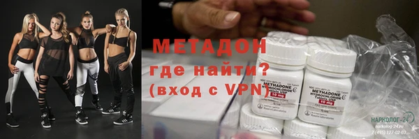 прущие грибы Аркадак