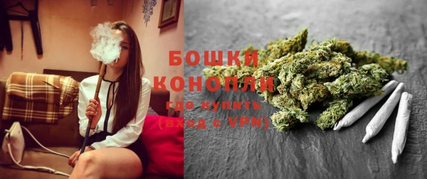 прущие грибы Аркадак