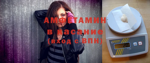 прущие грибы Аркадак